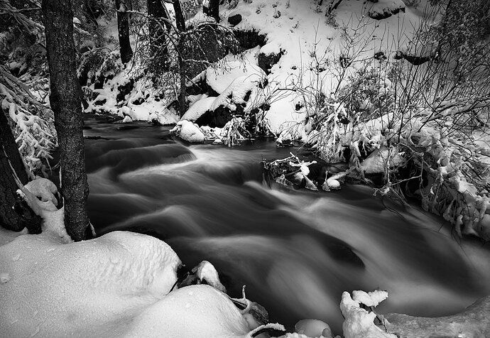 BM8A3225-Lewis-Creek-BW