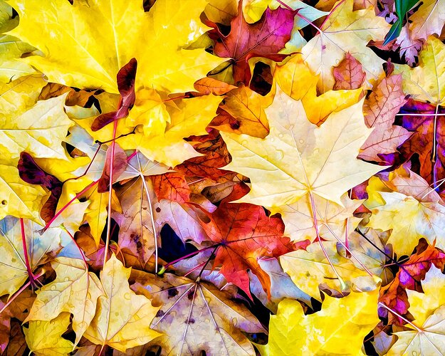 20181026_160900---Oil-Filter---Simplify-22---CEFX4---Copy-1200