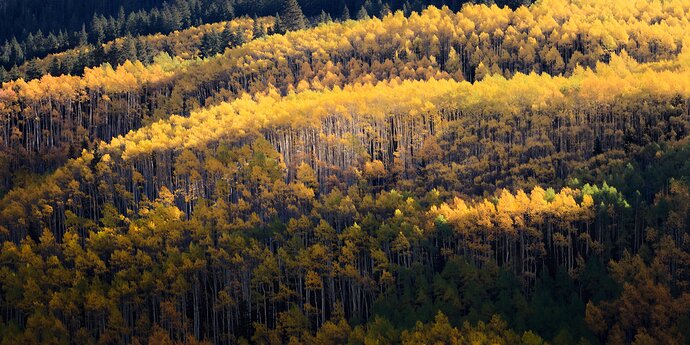 Aspen%20Cascade%20v3%20(1%20of%201)