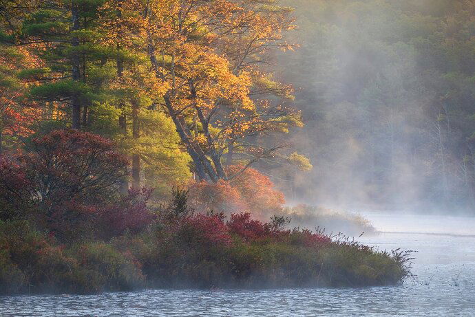 72767A94-3FA3-4CFC-8FAB-F3BCB749AE71