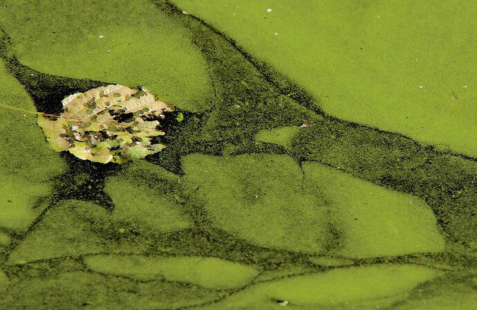 krickenbeck_IMGP4334-1