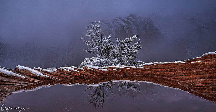 snow-c-reflection-Alt-copy