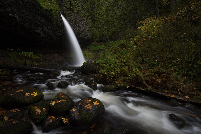 AutumnRush_before