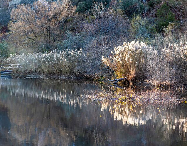 BluffMosaicReflections1I