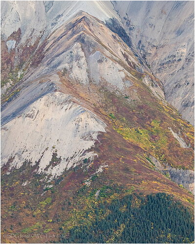Denali-Aloft7908-4x5-A772-26