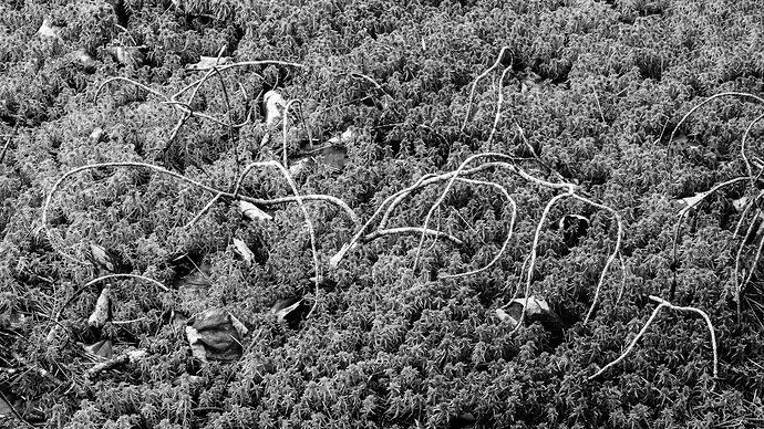 Kristen_SmithMay 05, 2021P1054494-Edit