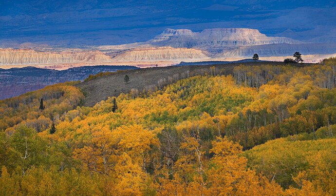 20221010-_DSC1974-sharpened