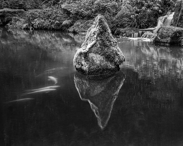 IMG5DMarkIV_0084NPNWebLrg-5