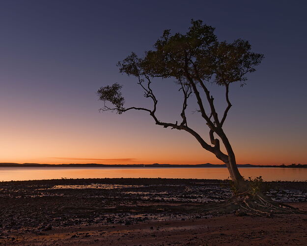 _MG_1935_DxO A crop 2s