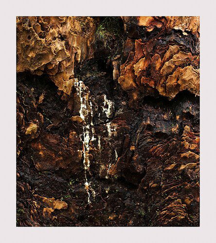 _DSF3357_3363_psd4_1300px-1