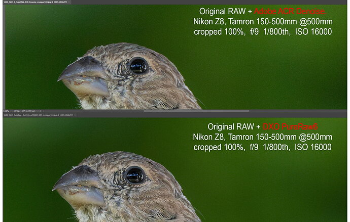 4-DXO-vs-ACR-compare