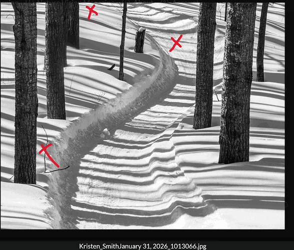 Screenshot 2026-02-20 090555