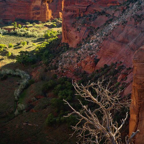 Canyon De Chelly vertigo