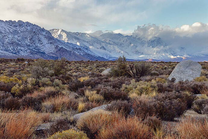 Eastern Sierra 2025-6