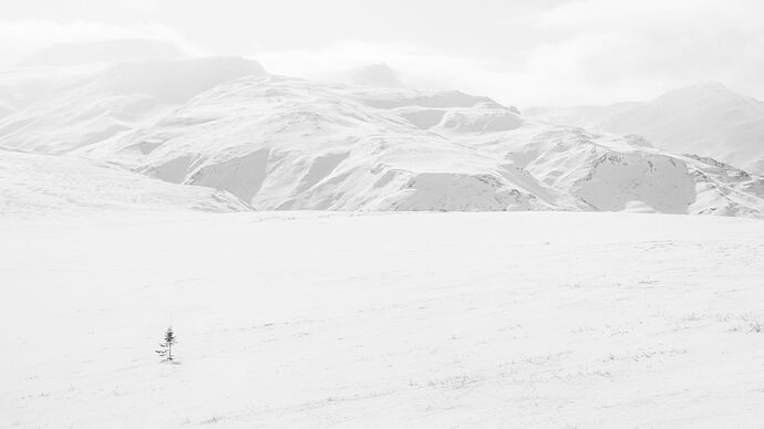 IMG5DIIIPost10k_2598NPNWebLrg-NPNWebLrg 4.9mb-7