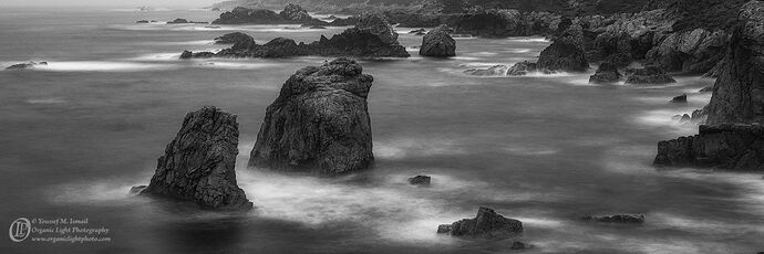 _DSC6388_Garrapata_Alone_NPNb