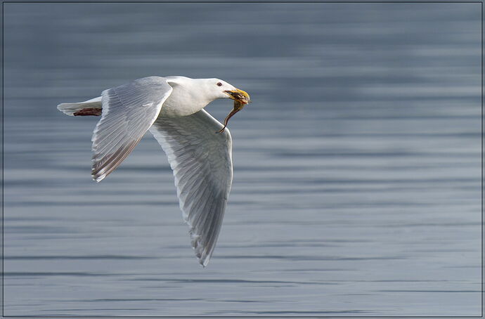 -20240605-_A1_2259-Big Beef Creek-ARW-Edit-Edit.jpg