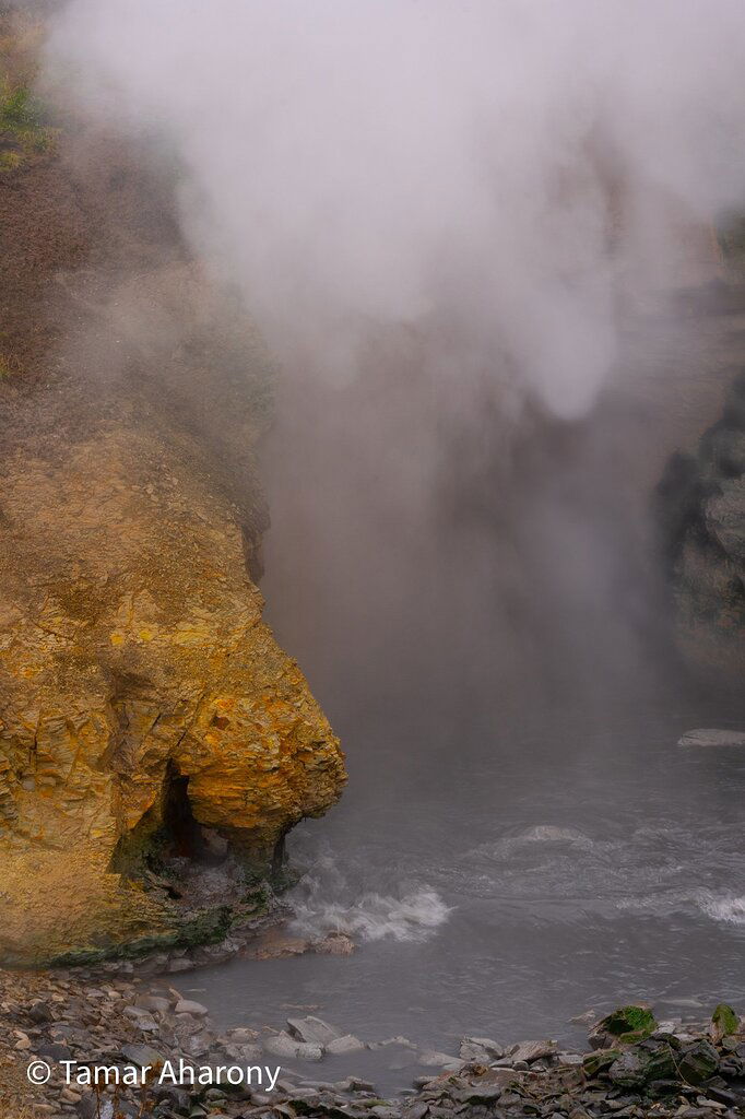 The huffing puffing monsteredit Weekly Challenge Nature