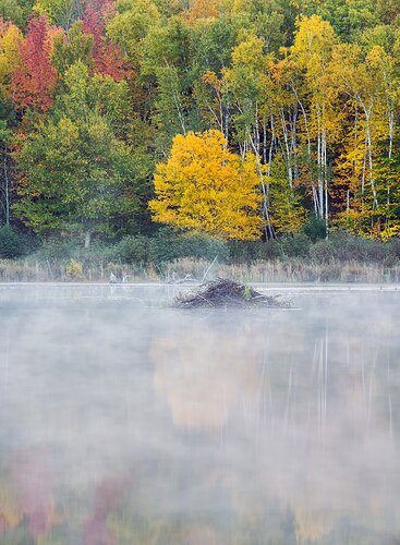 Beaver Dam Pond