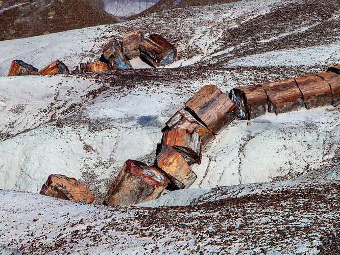 WS8F9263crop