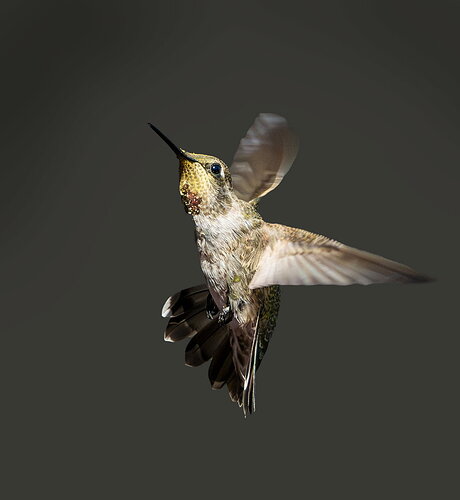 Original - HUMMER.jpg