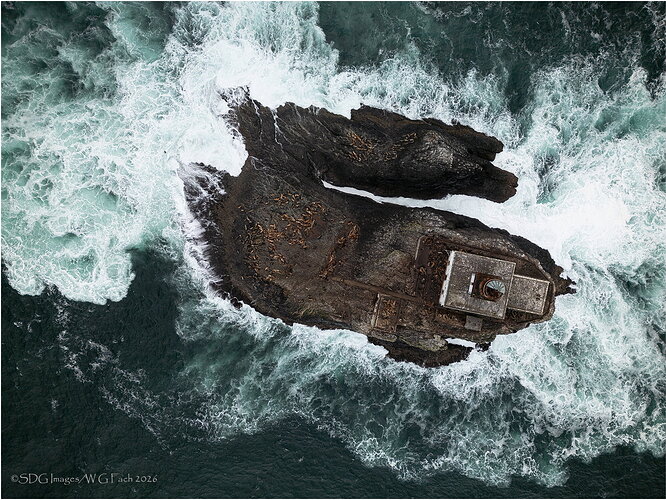 Terrible-Tilly-20231003-DJI_0141-WC-26