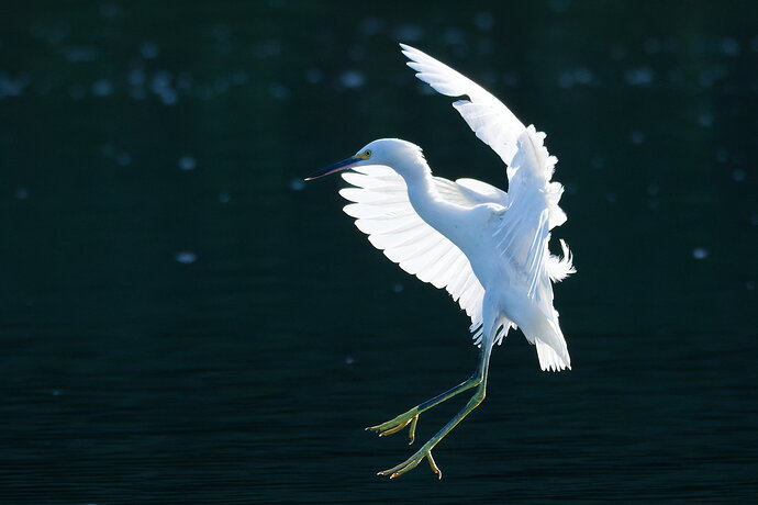 _DSC1165_DxO