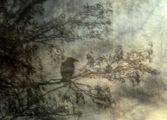 2022_impressions (5)