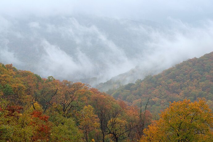 Clearing Fog