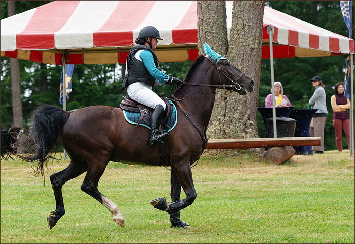 -20250614-_SA11102-Aspen Farms-DxO_DeepPRIME 3-Edit.jpg