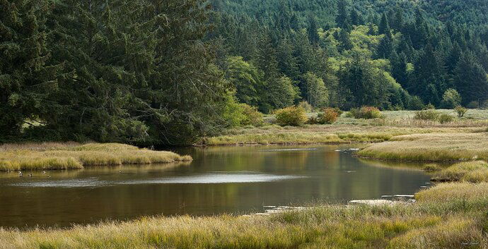 Siletz Bay National Wildlife Refuge