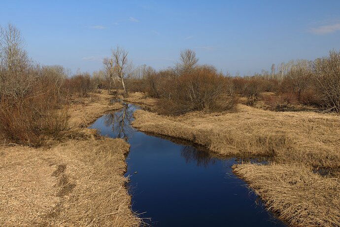 4-24-20 - WaitingForSpring-