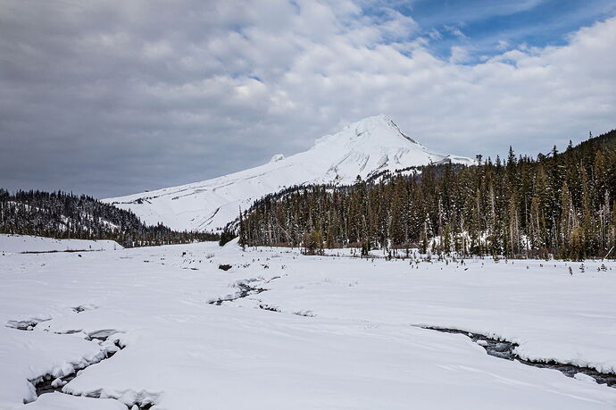 IMG5DMarkIV_0125NPNWebLrg-11