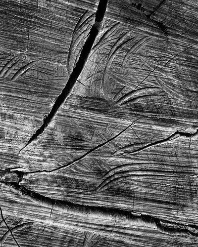 AA_DSC1279_02209-Edit