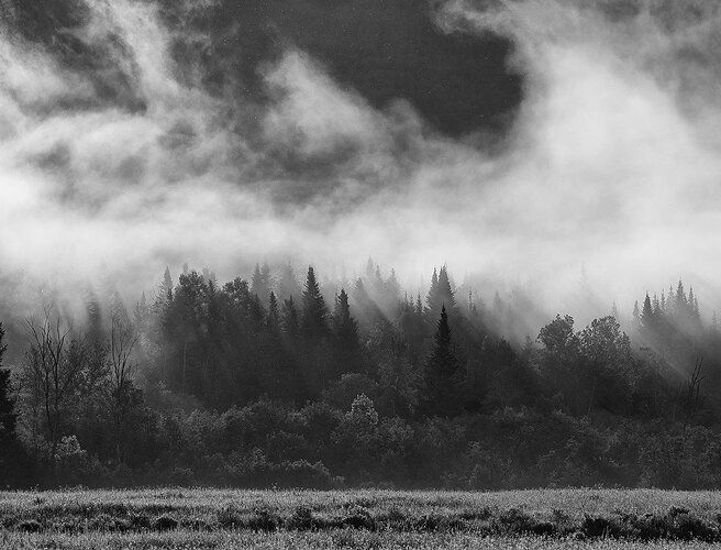 _DSC2687-1