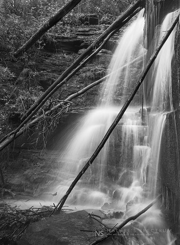 02004-GFX100II-250403_WM1600_BW_Web