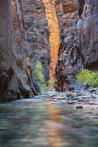 Virgin Narrows, Zion National Park