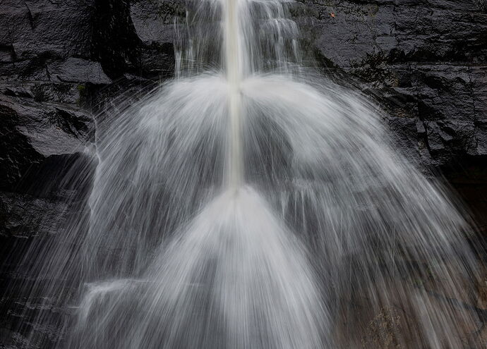 _DSC5743 copy.jpg