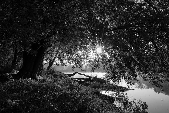 DSC_4264 BW.jpg