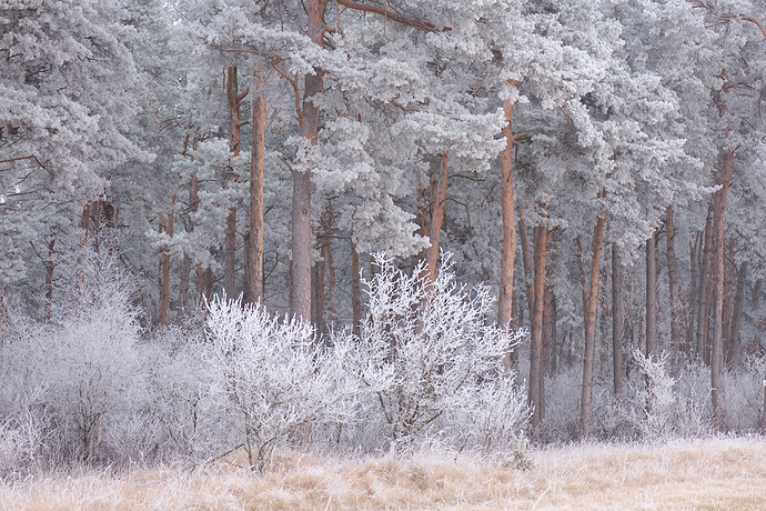 2025-12-29_GGS_7449-topaz-small(1)