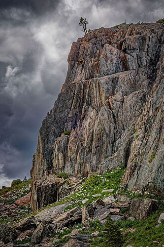 LO5D5813_DxOCrop4096.jpg