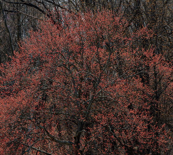 2025 Favorites-1.jpg