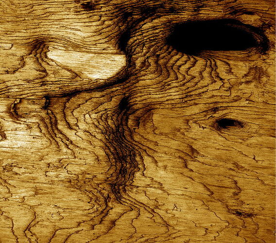 wormwood-with-hole-sepia copy cropped