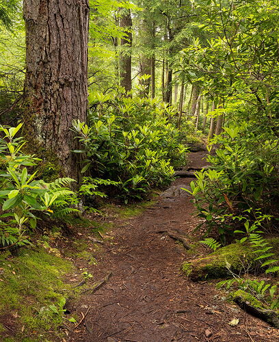 Untitled-5 copy