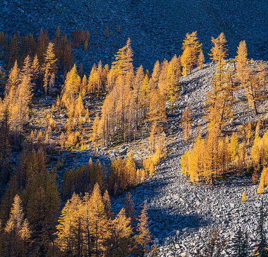 20251007-2819-tn-edit