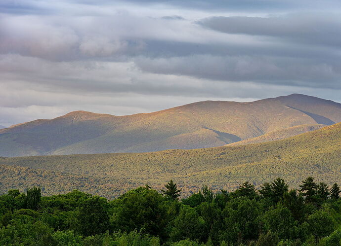 _DSC4302 copy