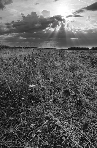Original - _AP78277-Modifier Edited 7.jpeg