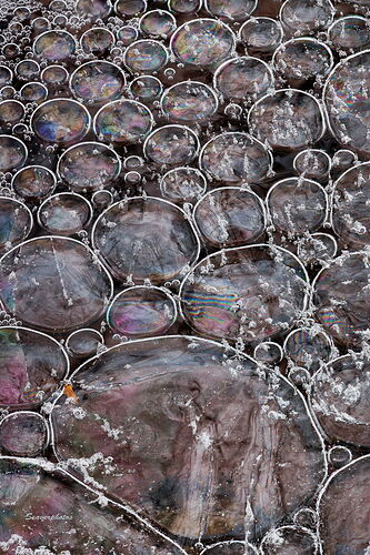 Bubbles Under Ice.jpg