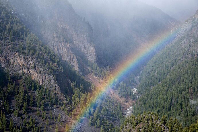 Snowbow