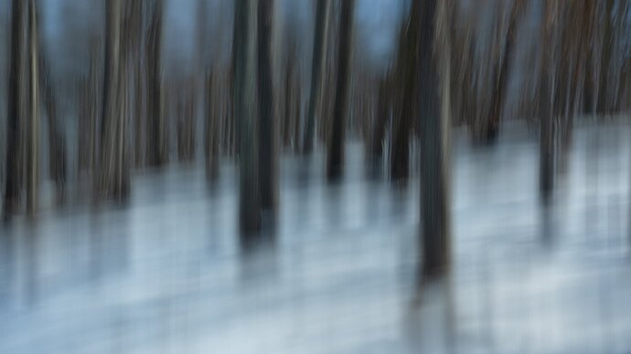 A snowy morning in the park...